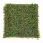 Prato Natural MD 40