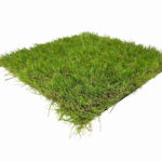 Prato Natural MD50