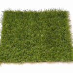 Prato Natural Real 30